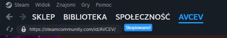 Steam: skopiowany adres profilu steamcommunity.com/id/...